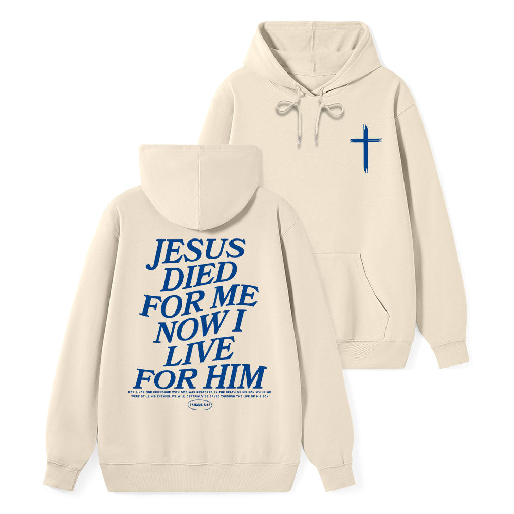 Premium Hoodie Hot 13